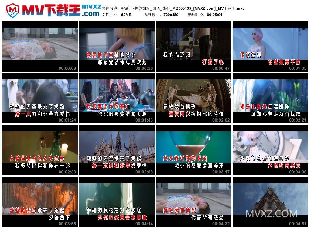 魏新雨-想你如海_国语_流行_MB506135